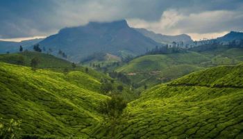 Thekkady Tour Packages