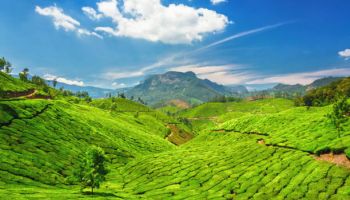 Cochin - Munnar Tour Package 2 Night - 3 Days