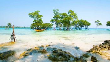 Havelock Tour Packages