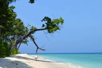 South Andaman Tour Packages