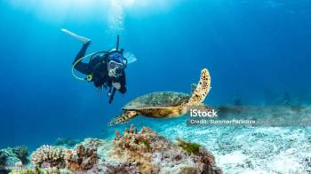 6 Nights and 7 Days Tour Package