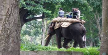 02 Nights 03 Days Mysore-Coorg-Mysore