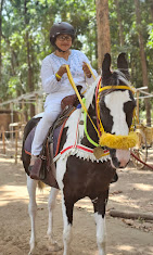 Thanima Farm Life High Rope Day Out Package