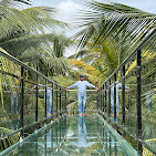 Thanima Farm Life High Rope Day Out Package