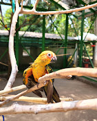 Thanima Farm Life High Rope Day Out Package