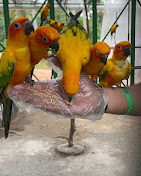Thanima Farm Life Premium Day Out Package