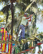 Thanima Farm Life Premium Day Out Package