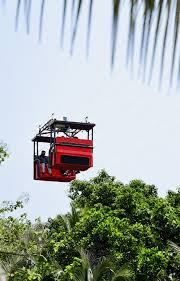 Thanima Farm Life Signature Premium Day Out Package