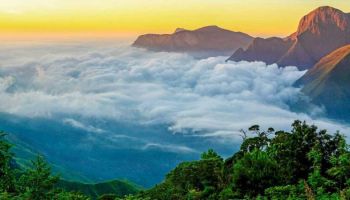 Kerala Package for 6 Nights 7 Days