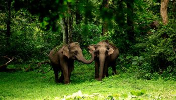 Kerala Package for 6 Nights 7 Days