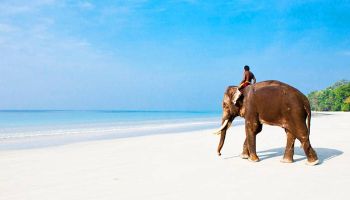 Andaman Package 4N - 5D