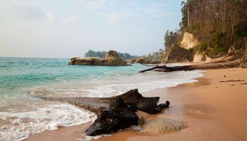 Havelock Tour Packages