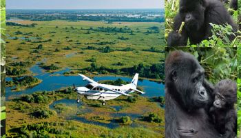 3 Day Into The Heart Of Bwindi - Gorilla Safari Tour