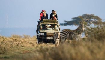 5-Day Magical Safari - Coastal Discovery By Road - Rail Tour