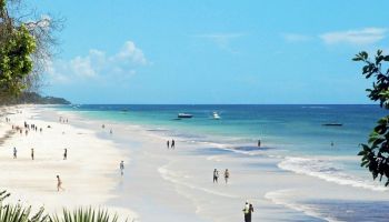 7-Day Classic Safari - Beach Getaway Tour