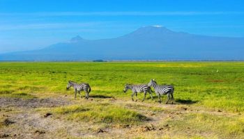 5-Day Amboseli - Masai Mara Budget Safari Tour