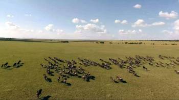 7 Days Mara Migration Experience Tour
