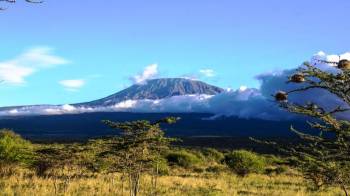 8 Days Kilimanjaro Machame Route Tour