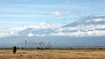 8 Days Kilimanjaro Shira Route Tour