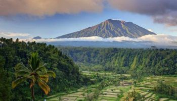 Explore The Beauty Of Bali 6N - 7D Tour