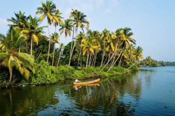 4D Bliss Cochin - Thekkady - Alleppey Tour Package