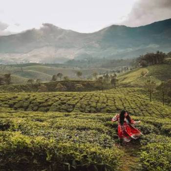 2N Essence Cochin - Athirapally Tour Package