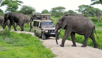 Serengeti Supreme 5N - 6D Tour