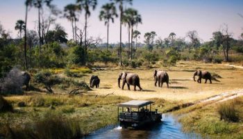 Tanzania - Northern Explorer 7N 8D Tour
