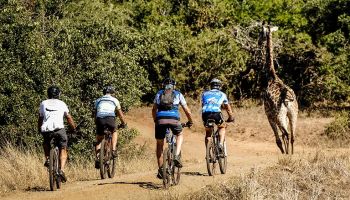 1 Day Tanzania - Cycling Safari Tour