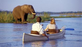 1 Day Tanzania - Lake Manyara Canoeing Safari Tour