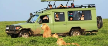 Ngorongoro Tour Packages