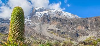 Mount Kilimanjaro - Lemosho Route 7N 8D Tour