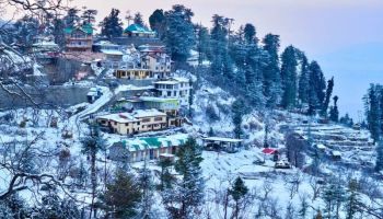7 Days Shimla - Manali Tour Package Ex - Delhi