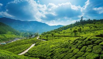Pidmc Kerala Tour Package 4 N 5 D