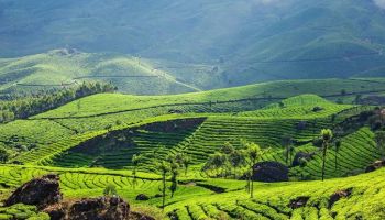 PH KERALA TOURISM 5N 6D