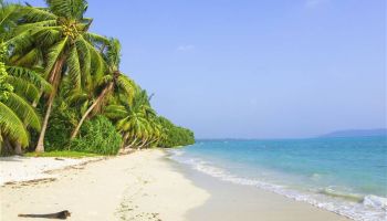 Havelock Tour Packages