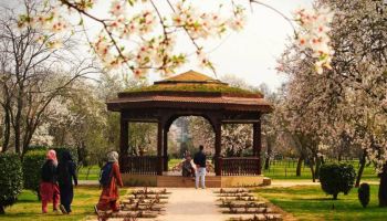 6N Pearls Of Jammu And Kashmir Tour