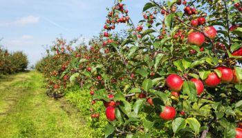 5N Exotic Three Sisters Tour