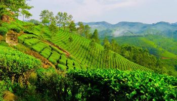 3N Kerala Tour - 3 Star