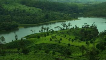 6N Glimpse Of Kerala Tour