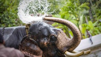 7N Exotic Kerala Tour