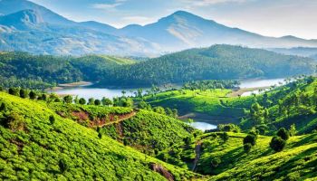 2N Short Trip To Munnar