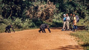 Fort Portal Tour Packages