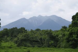 Kampala Tour Packages