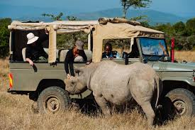 Nairobi - Naivasha - Mara Safari And Lake Life Tour