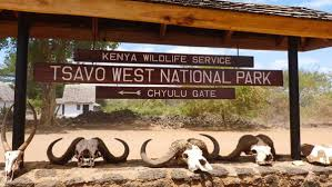 Amboseli National Park - Tsavo West - The Great Southern Circuit Tour