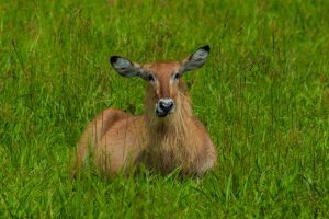 Kigali Tour Packages