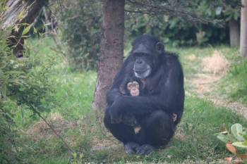 Bujumbura Tour Packages