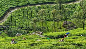 4 Night Kerala Tour Package