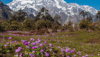 9 Days Gangtok - Lachung - Darjeeling Tour